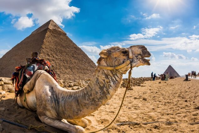 From Sharm El Sheikh: Cairo Private Day Trip by Plane