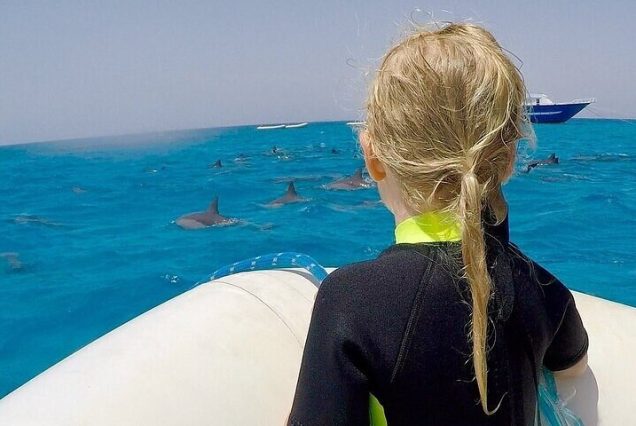 Sha’ab Samadai Reef – Dolphin House Snorkeling Tour at Marsa Alam