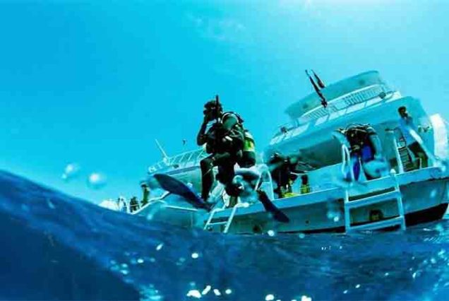 Vibrant Red Sea coral reef in Hurghada – tropical fish and marine biodiversity