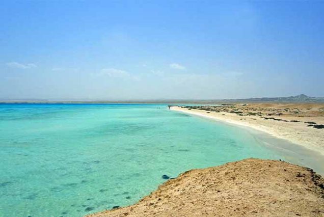 #SharmElLuli #SnorkelingMarsaAlam #RedSeaAdventure #TravelEgypt #BestTourOperatorMarsaAlam #TopTourAgencyMarsaAlam #MarsaAlamTours #CoralReefsSnorkeling #MarineLifeRedSea #LuxurySnorkelingExperience #UnforgettableRedSea #MarsaAlamSnorkeling