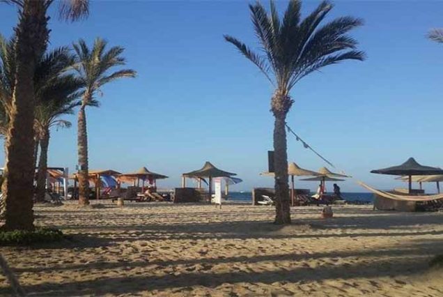 #AbuDababAdventure #SnorkelingAbuDabab #RedSeaEgypt #TravelEgypt #BestToursMarsaAlam #DugongExperience #GreenTurtleSightings #MarsaAlamTrips #MarineLifeEgypt #AboDababBeach #EgyptSnorkeling #TopTourOperatorMarsaAlam #SeaAdventureEgypt #HurghadaExcursion #ExploreRedSea