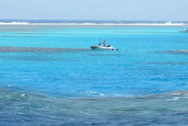 #AbuDababAdventure #SnorkelingAbuDabab #RedSeaEgypt #TravelEgypt #BestToursMarsaAlam #DugongExperience #GreenTurtleSightings #MarsaAlamTrips #MarineLifeEgypt #AboDababBeach #EgyptSnorkeling #TopTourOperatorMarsaAlam #SeaAdventureEgypt #HurghadaExcursion #ExploreRedSea