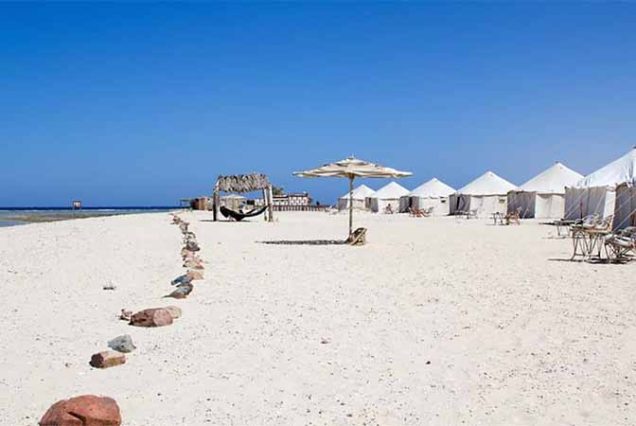 #AbuDababAdventure #SnorkelingAbuDabab #RedSeaEgypt #TravelEgypt #BestToursMarsaAlam #DugongExperience #GreenTurtleSightings #MarsaAlamTrips #MarineLifeEgypt #AboDababBeach #EgyptSnorkeling #TopTourOperatorMarsaAlam #SeaAdventureEgypt #HurghadaExcursion #ExploreRedSea