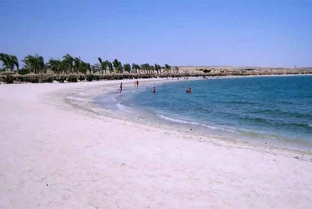 #AbuDababAdventure #SnorkelingAbuDabab #RedSeaEgypt #TravelEgypt #BestToursMarsaAlam #DugongExperience #GreenTurtleSightings #MarsaAlamTrips #MarineLifeEgypt #AboDababBeach #EgyptSnorkeling #TopTourOperatorMarsaAlam #SeaAdventureEgypt #HurghadaExcursion #ExploreRedSea