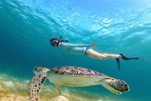 #AbuDababAdventure #SnorkelingAbuDabab #RedSeaEgypt #TravelEgypt #BestToursMarsaAlam #DugongExperience #GreenTurtleSightings #MarsaAlamTrips #MarineLifeEgypt #AboDababBeach #EgyptSnorkeling #TopTourOperatorMarsaAlam #SeaAdventureEgypt #HurghadaExcursion #ExploreRedSea
