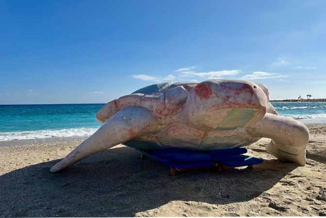 #AbuDababAdventure #SnorkelingAbuDabab #RedSeaEgypt #TravelEgypt #BestToursMarsaAlam #DugongExperience #GreenTurtleSightings #MarsaAlamTrips #MarineLifeEgypt #AboDababBeach #EgyptSnorkeling #TopTourOperatorMarsaAlam #SeaAdventureEgypt #HurghadaExcursion #ExploreRedSea