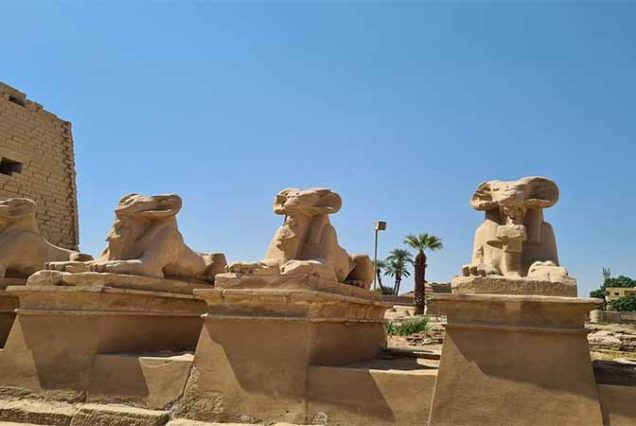 "Luxor private tour from Hurghada – Full-day trip to Valley of the Kings, Hatshepsut Temple, Karnak Temple and Memnon statues."