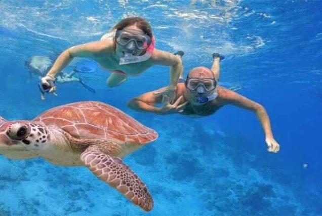 Swim with dugongs and sea turtles in Marsa Mubarak, Marsa Alam snorkeling trip