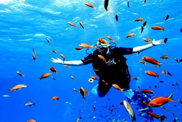 Certified divers in Hurghada Red Sea – advanced scuba diving excursion Egypt