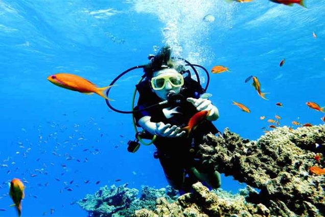 2 Scuba Diving for Beginners Day-Trip with Lunch in Marsa Alam