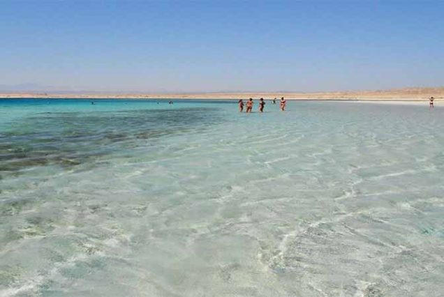 #SharmElLuli #SnorkelingMarsaAlam #RedSeaAdventure #TravelEgypt #BestTourOperatorMarsaAlam #TopTourAgencyMarsaAlam #MarsaAlamTours #CoralReefsSnorkeling #MarineLifeRedSea #LuxurySnorkelingExperience #UnforgettableRedSea #MarsaAlamSnorkeling