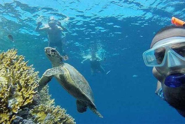 #SharmElLuli #SnorkelingMarsaAlam #RedSeaAdventure #TravelEgypt #BestTourOperatorMarsaAlam #TopTourAgencyMarsaAlam #MarsaAlamTours #CoralReefsSnorkeling #MarineLifeRedSea #LuxurySnorkelingExperience #UnforgettableRedSea #MarsaAlamSnorkeling