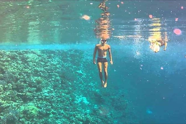 #SharmElLuli #SnorkelingMarsaAlam #RedSeaAdventure #TravelEgypt #BestTourOperatorMarsaAlam #TopTourAgencyMarsaAlam #MarsaAlamTours #CoralReefsSnorkeling #MarineLifeRedSea #LuxurySnorkelingExperience #UnforgettableRedSea #MarsaAlamSnorkeling