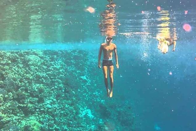 #SharmElLuli #SnorkelingMarsaAlam #RedSeaAdventure #TravelEgypt #BestTourOperatorMarsaAlam #TopTourAgencyMarsaAlam #MarsaAlamTours #CoralReefsSnorkeling #MarineLifeRedSea #LuxurySnorkelingExperience #UnforgettableRedSea #MarsaAlamSnorkeling