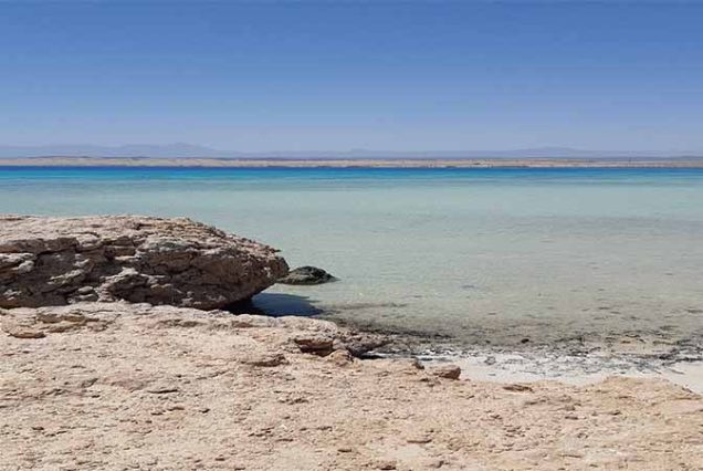 #SharmElLuli #SnorkelingMarsaAlam #RedSeaAdventure #TravelEgypt #BestTourOperatorMarsaAlam #TopTourAgencyMarsaAlam #MarsaAlamTours #CoralReefsSnorkeling #MarineLifeRedSea #LuxurySnorkelingExperience #UnforgettableRedSea #MarsaAlamSnorkeling